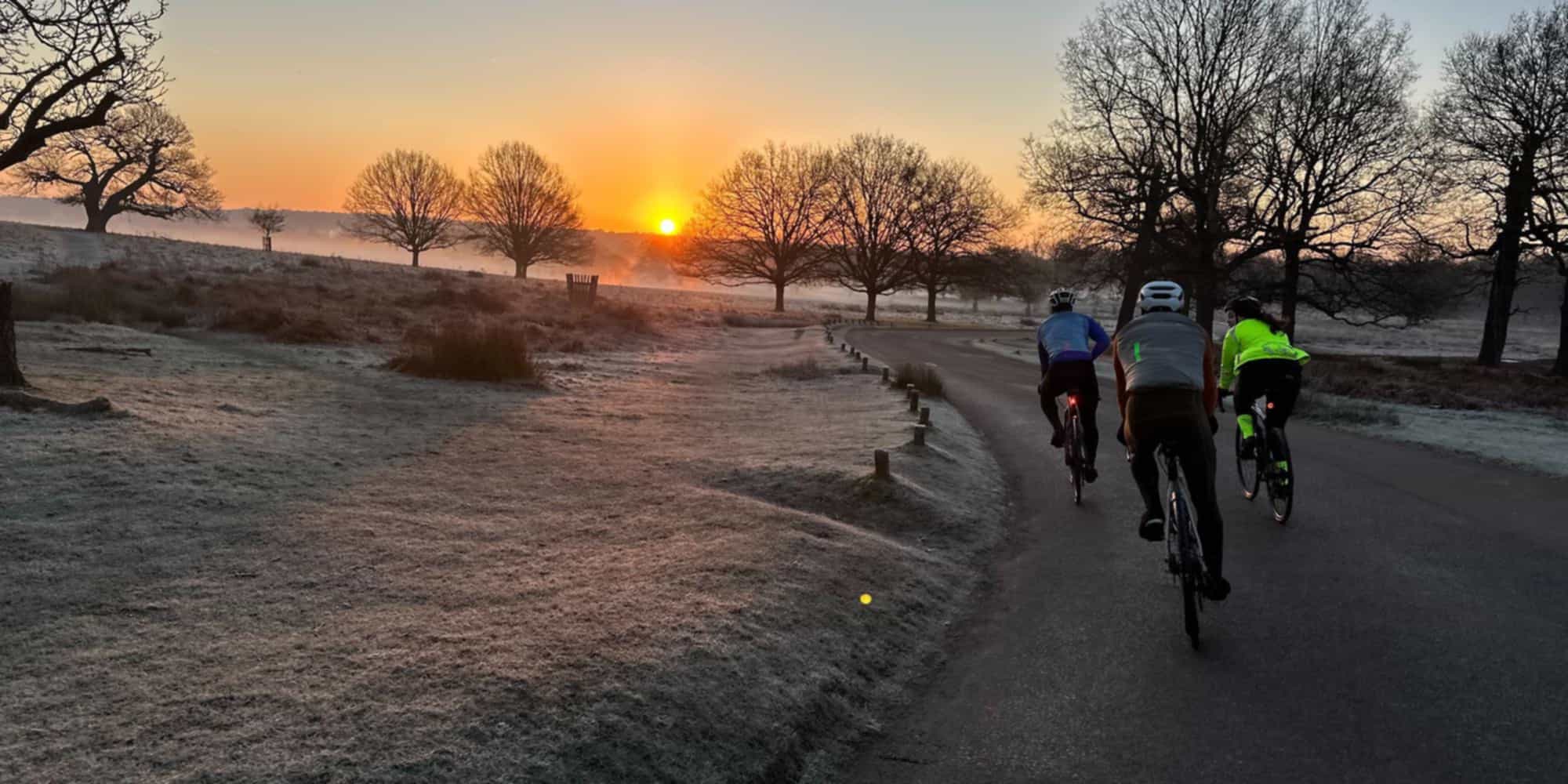 Three Auster riders in a cold Richmond Park at sunrise
