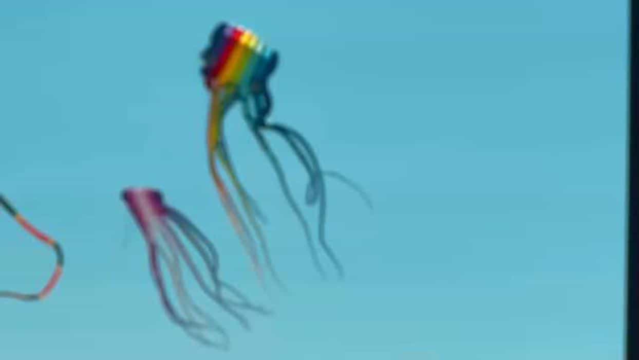 London to Paris 2025 🇫🇷🚴‍♂️🥐 - Birthday Boy Ben

What a weekend! From rolling out of Tooting Bec to standing under the Eiffel Tower, this ride had it all: smooth Surrey hills, late-night ferries, a lot of pastries and endless laughs. The ride included; Avenue Vert, a 50km converted train track and our final climb into Paris that felt epic at 175km in and cruising along the Seine towards the Eiffel Tower. 

Huge thanks to Shaun & Pete for the organisation (and snacks!)—you made it seamless and unforgettable. Cycling into Paris with friends, champagne under the Tower, and even birthday cake at the end… couldn’t have asked for more.

Unforgettable trip. Already want to do it again 🧡

#LondonToParis #CyclingAdventure #RideReport #EiffelTowerFinish #CyclingLife #GroupRide #CyclingCommunity #CyclingTrip #EnduranceCycling #WeekendRide #CyclingGoals #RoadCycling #CyclingLove #CyclistsOfInstagram #PedalToParis #EpicRide #auster #austercc #austercyclingclub #joinoirclub